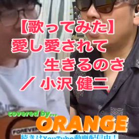 【歌ってみた】愛し愛されて生きるのさ ／ 小沢 健二の画像