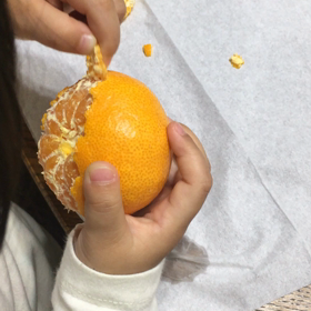 チビチビの画像