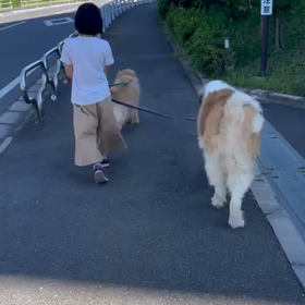 2023/07/16の画像