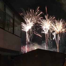 2024/07/28の画像
