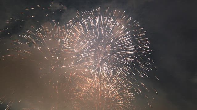 逗子花火大会 2025の記事動画