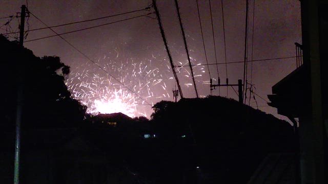 逗子花火大会 2026の記事動画