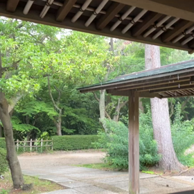 雨で涼しくの画像
