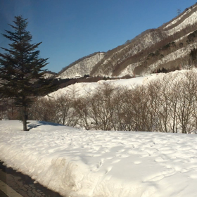 2月14日の画像