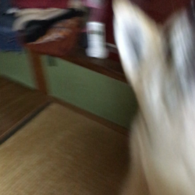 立っちしてあるくよの画像