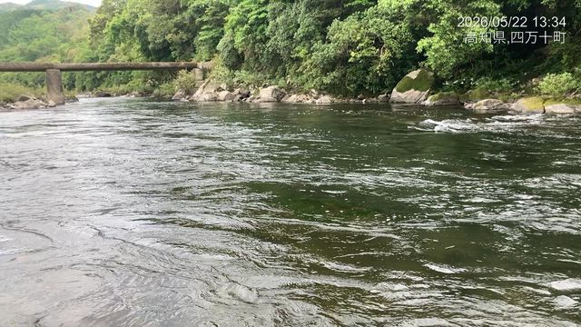 四万十川「三島第二沈下橋」やや好転？の記事動画