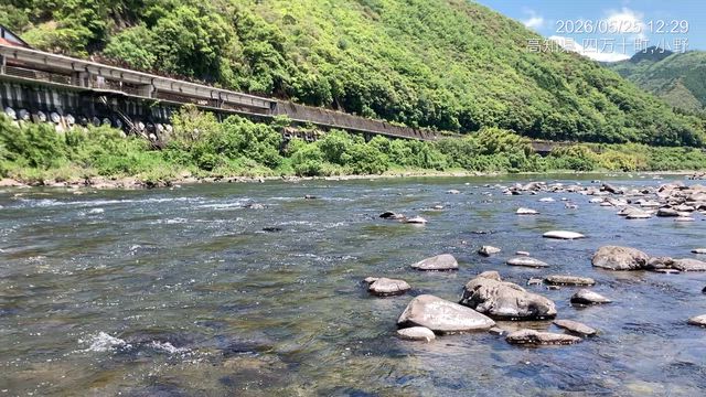 四万十川「小貝の瀬」で２０cm前後がの記事動画