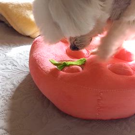 寒い日のテンション。の画像