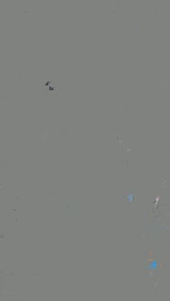 忘年会〜沖縄の会の記事動画