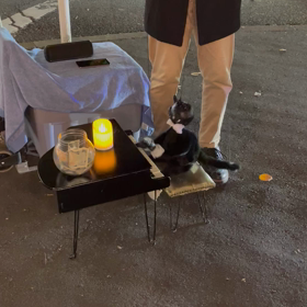 ボヘミアンラプソディを弾く猫の画像