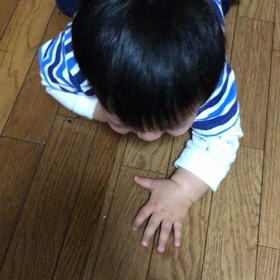 後追いの画像