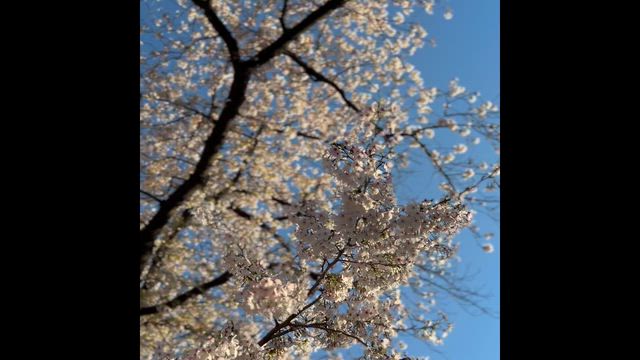 アゲアゲなリハの記事動画