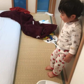 3月26日 はしゃぐの画像