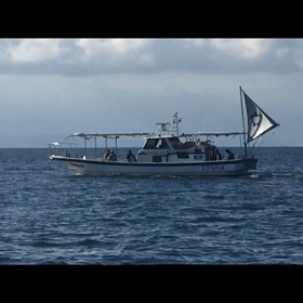 9/20 タチウオの画像