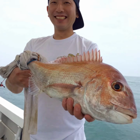 7/8 タイラバの画像
