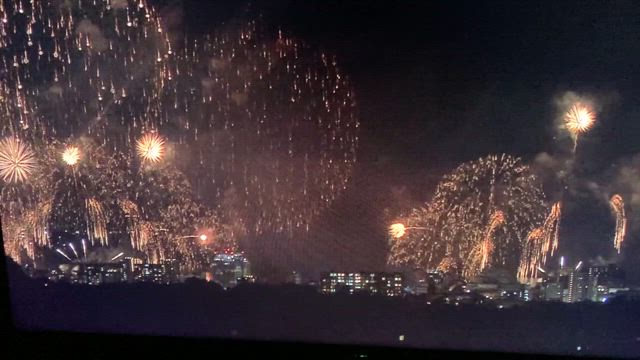 新弾稼働してだいぶ経ちましたの記事動画