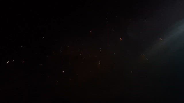 越前サマーフェスティバルの記事動画