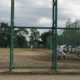 初めてゆっくり見れましたの画像