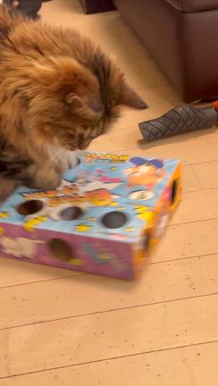 ストレス解消グッズの記事動画