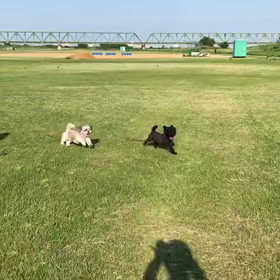 お散歩の画像