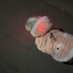 お散歩の画像