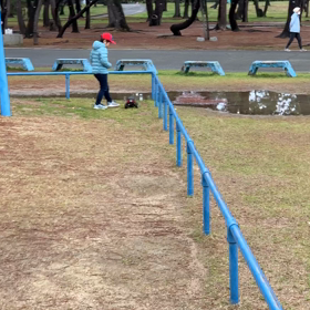 ラジコンカーにハマる長男の画像