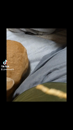 もぐもぐターイム！の記事動画