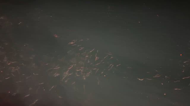 6/19半夜便(自船記録更新)の記事動画