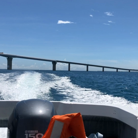 宮古島ダイビングの画像