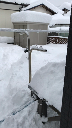 大雪と犬の記事動画