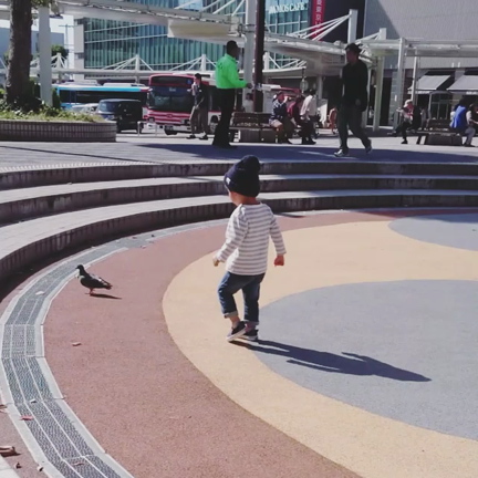 ＊実家にて＊の記事動画