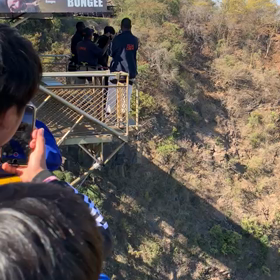 黙って飛び込めの画像