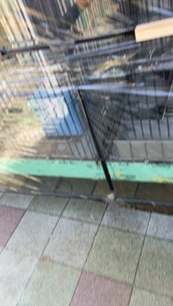 団体9日目のオフの記事動画
