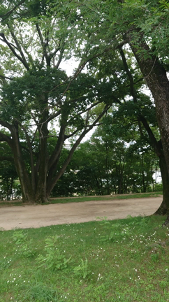 近くの武庫川をサイクリングの記事動画