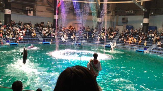 2年振りの水族館。アクアパーク品川へ。の記事動画