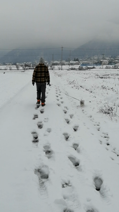 松本市も雪景色の記事動画
