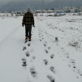 松本市も雪景色の画像