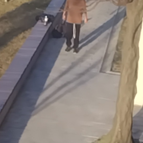才能の画像