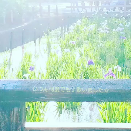 くるしみの種はよろこびの種の記事動画