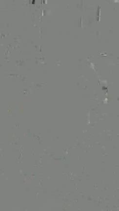 犬の逆くしゃみ（飼い主さん、必見！）の記事動画
