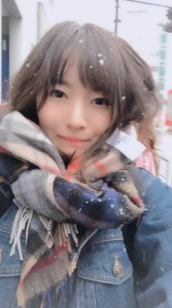 雪にはしゃぐの記事動画