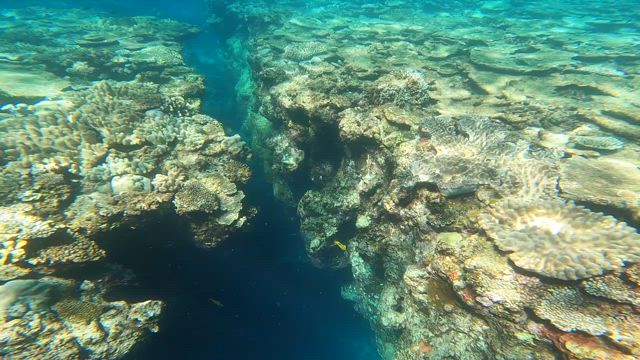 過去最高の暑さ −癒しの竜宮城−の記事動画