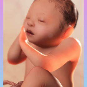 25週1日　甲状腺の数値の画像