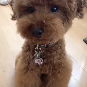 音を出して楽しんでね❤️の画像