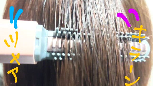 新しいアイテムが入ったよ！の記事動画
