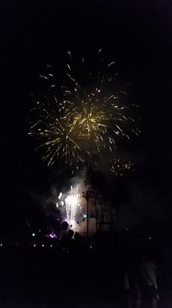 切井ふるさと夏祭りの記事動画