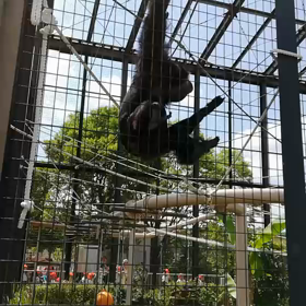 東山動物園の画像