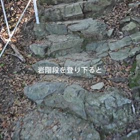 飽き性にも色々の画像