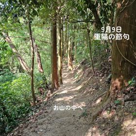 例祭の日にお山に呼ばれしの画像