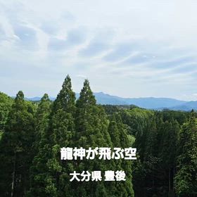 太陽の恵と力の画像